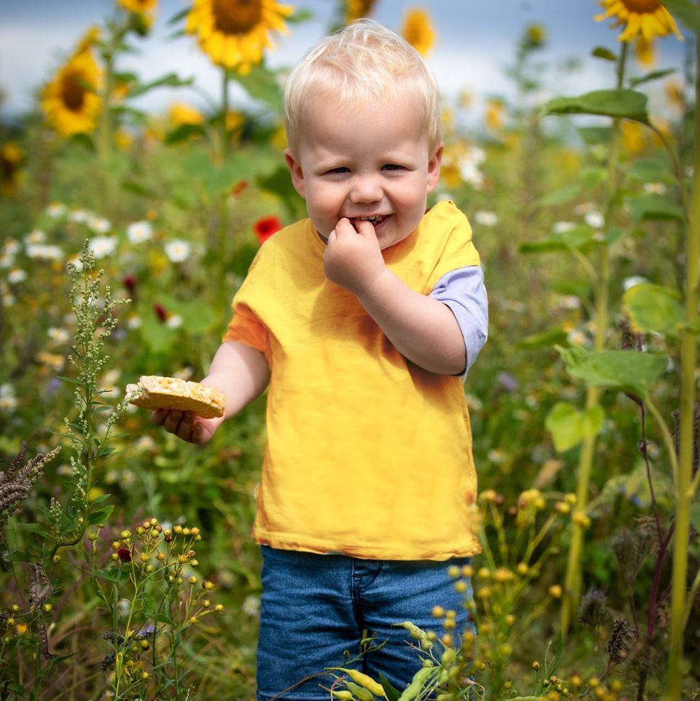 dreng i solsikkemark - fotograf Hoppesphoto 